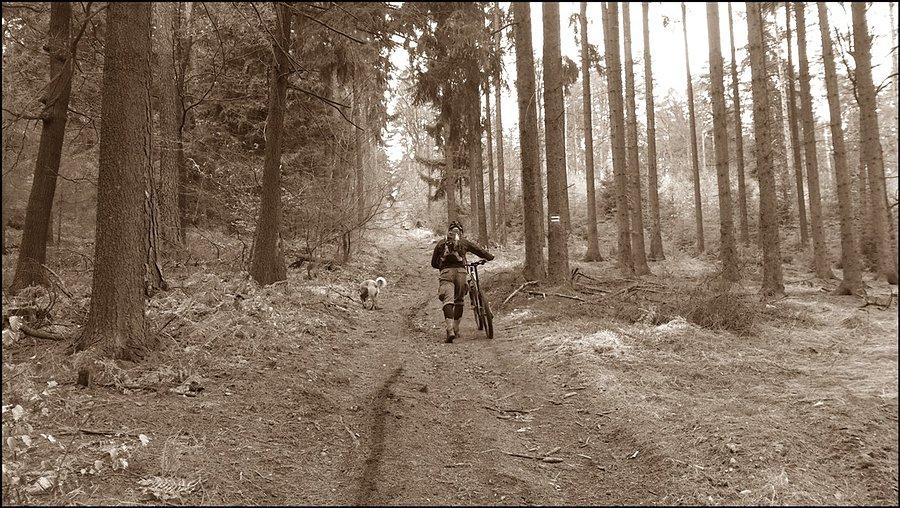 Podsumowanie 2016 marzec