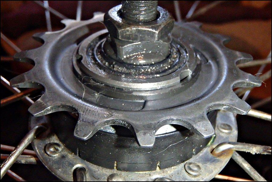 36. Ponownie założona zębatka Shimano Nexus 3