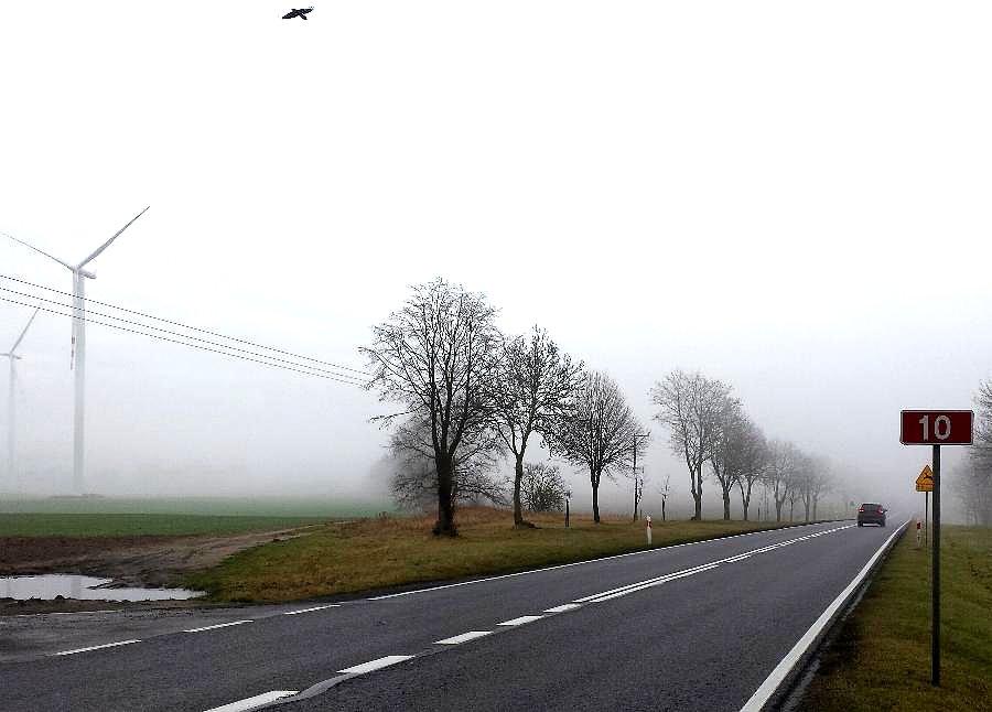 Na grytową wśród wiatraków