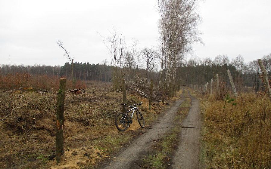 Na północnym nadwarciańskim krajobrazik się troszkę zmienił z powodu wycinki