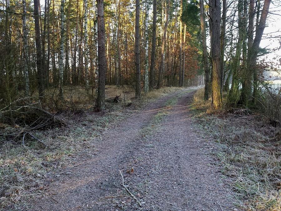 Dojazd pożarowy 49