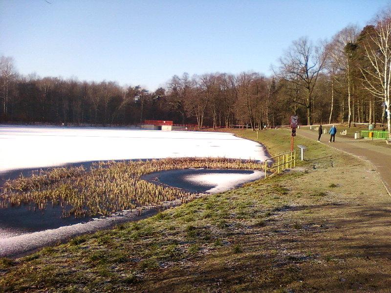 Ośnieżony staw