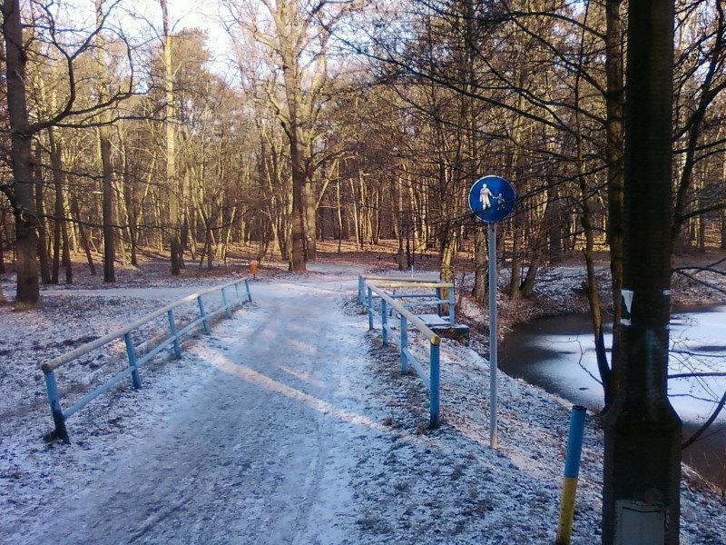 Droga dla pieszych na szlaku rowerowym