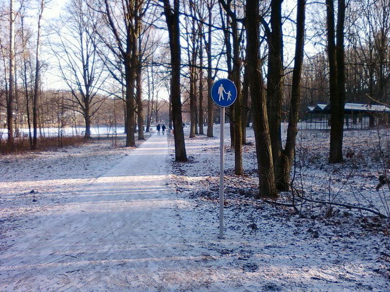Ścieżka piesza