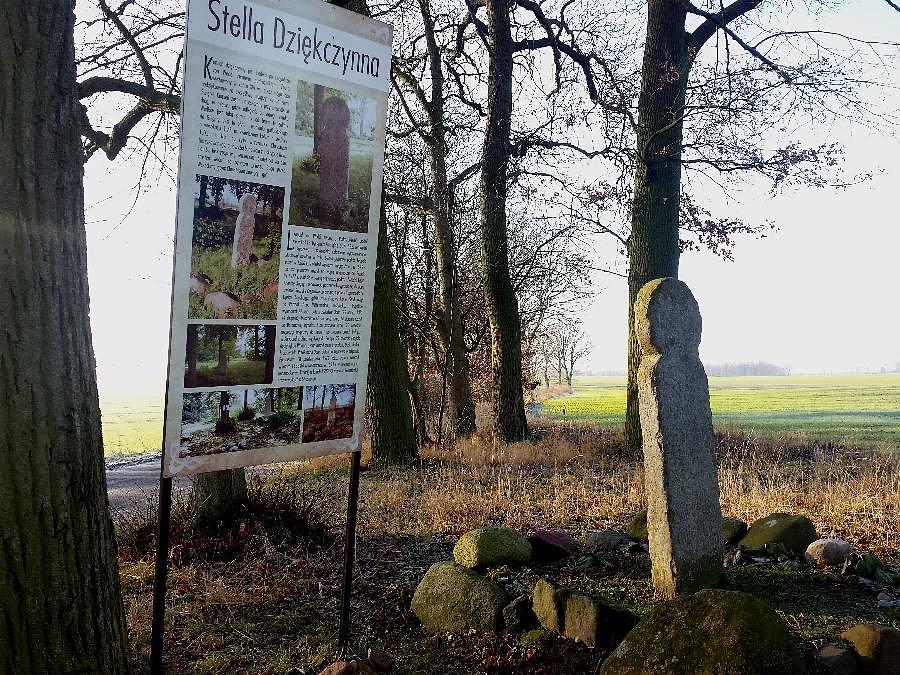 KRĘPCEWO (niem.Kremzow)Granitowa stela (Krzyż Prośby) z XVI w