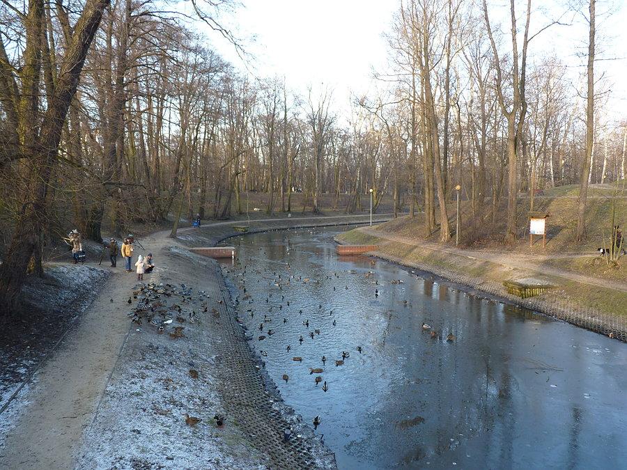 Fort Bema i kaczuchy