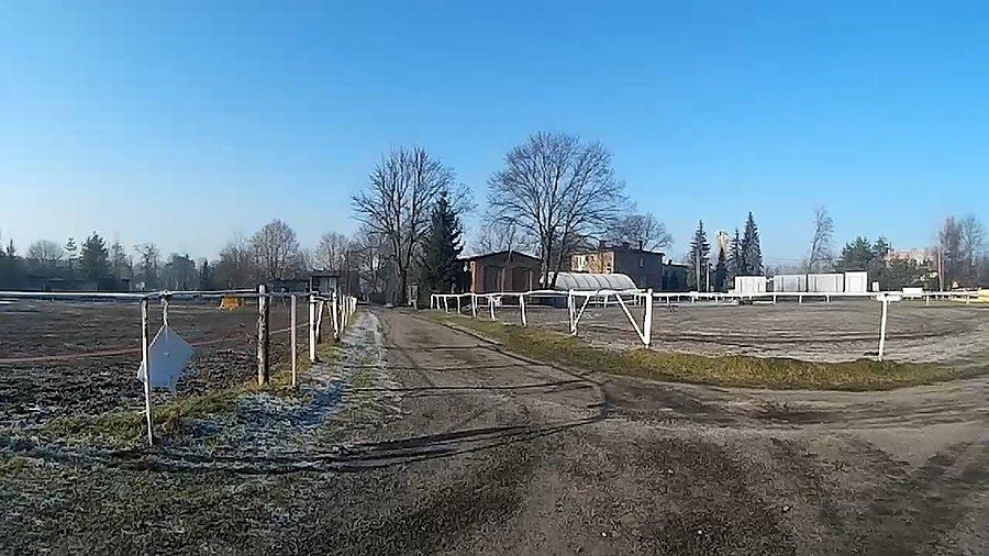 Przy stadninie w Panewnikach