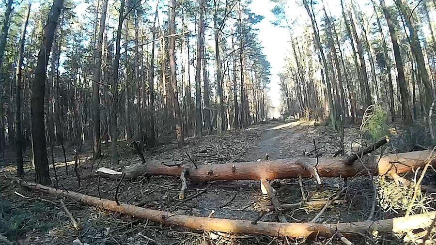 Niespodzianki za którymi nie przepadam