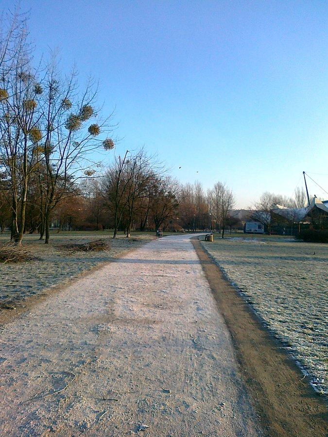 Dróżka w parku na Jelonkach