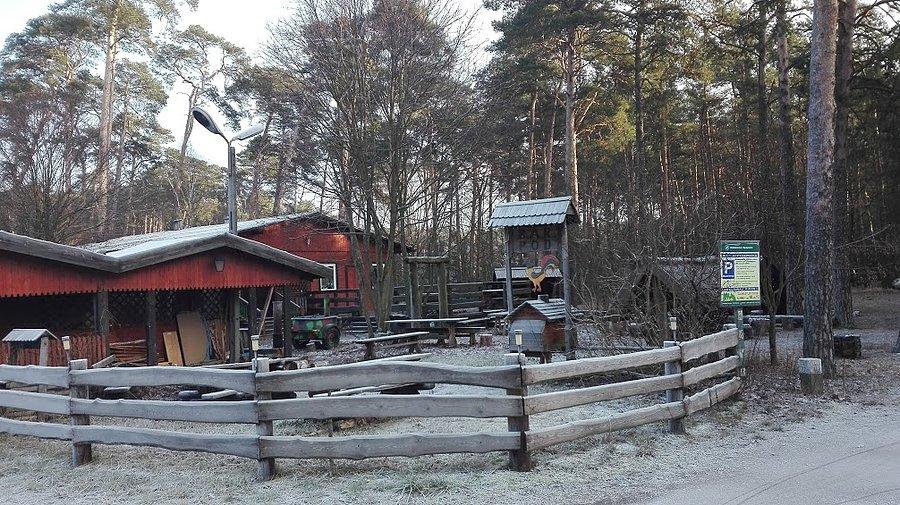 Start Bar pod Kogutem