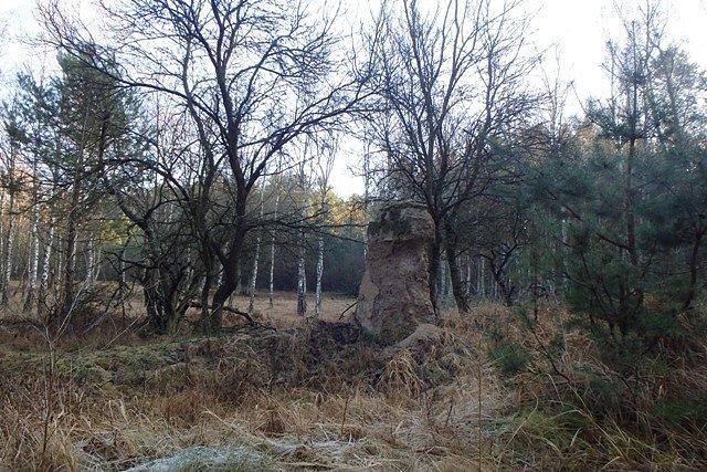 Pozostałości "Łażyńskiego Domostwa"