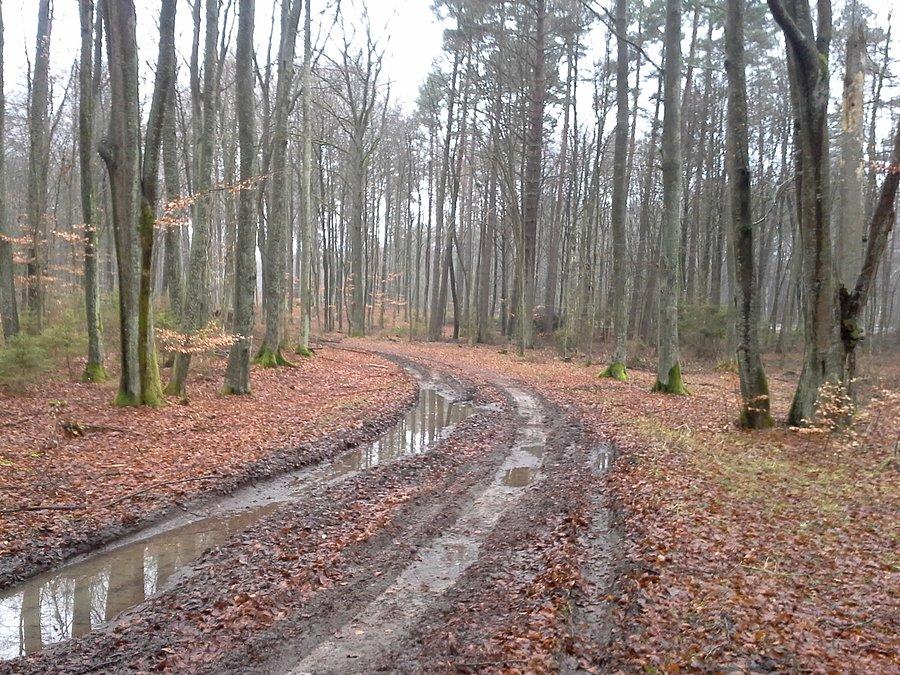 Rozgrzewka w sprzyjających warunkach ;-)