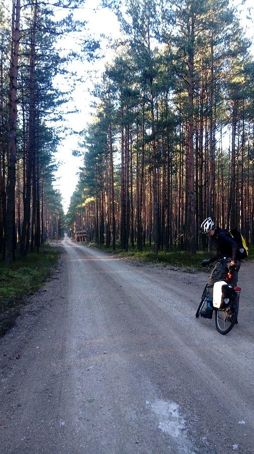Autostrada leśna