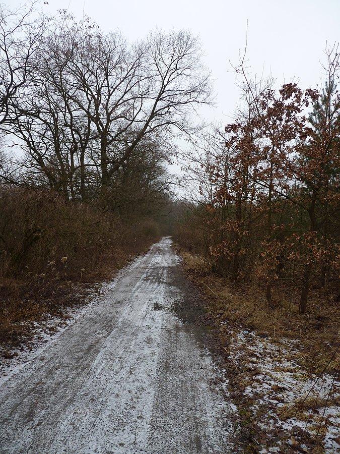 Trudny teren. Całe szczęście nie było tego dużo