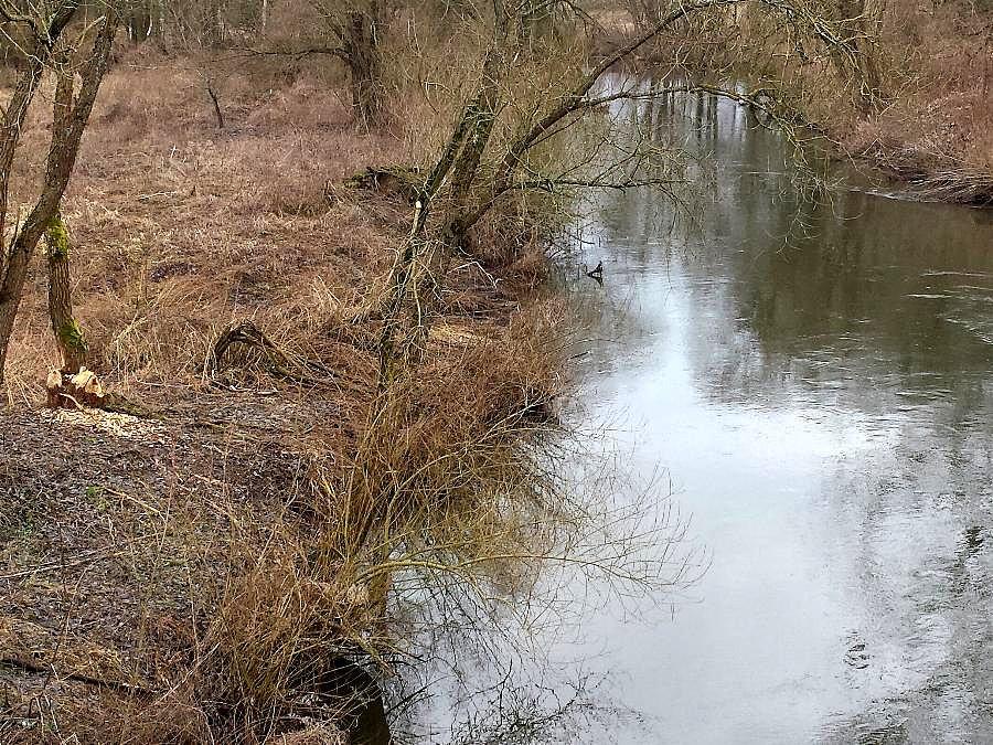 Bobry nad Iną ?