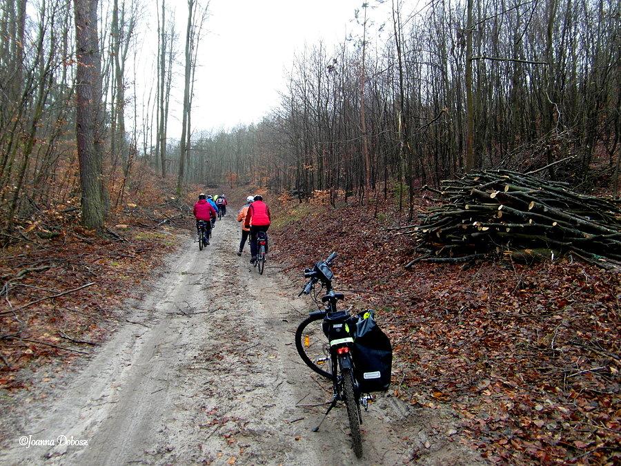 Sylwestrowo- rowerowo-powrót