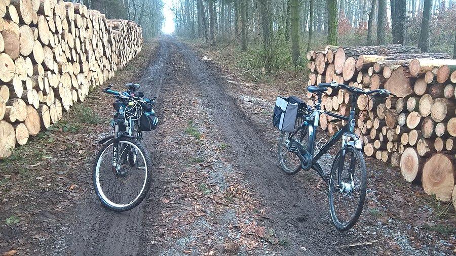 Miała być kopa a jest las brożecki