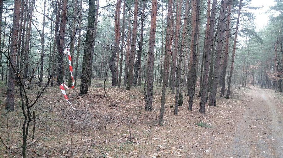 Pozostałości oznaczenia trasy