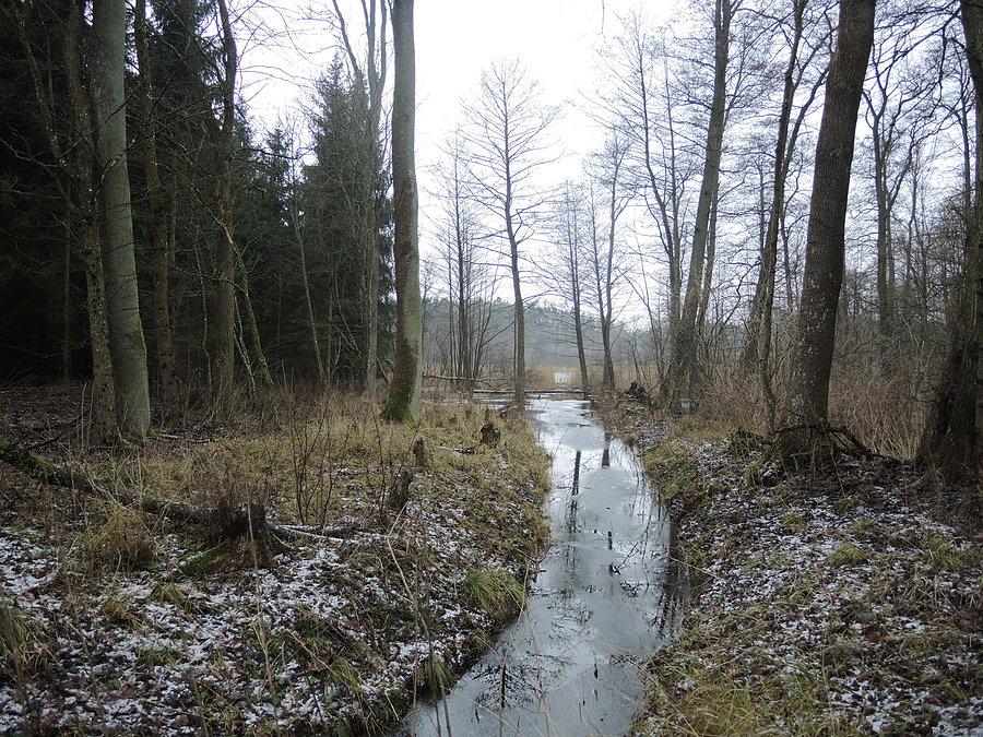 Okolice jeziora Ciszkowskiego