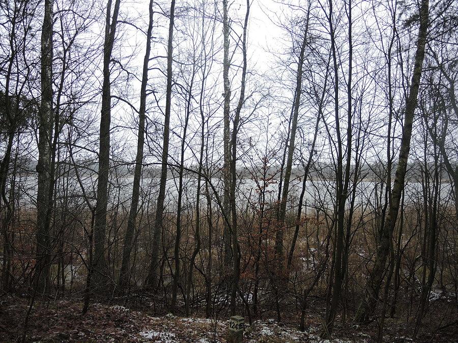Jezioro Kruteckie