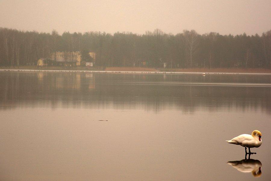Jezioro Firlej w okowach lodu