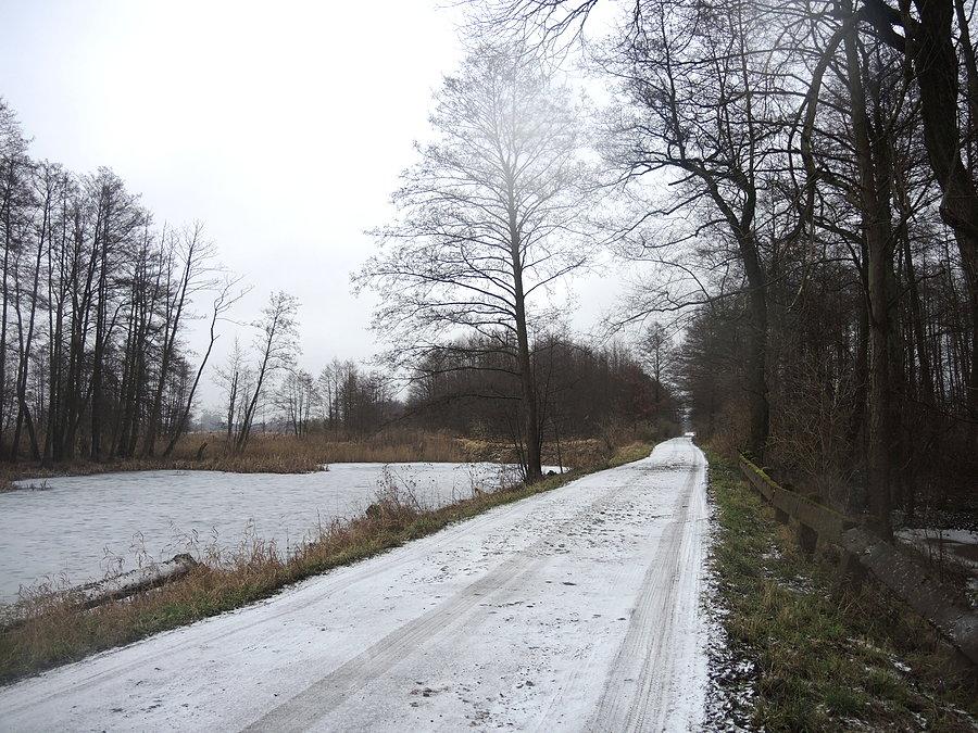 Kierunek śluza Walkowice