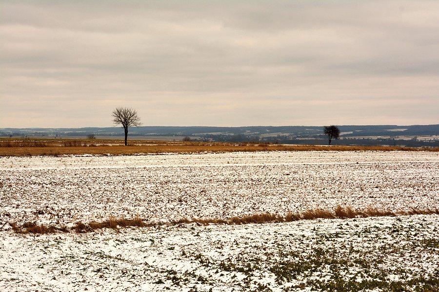 Zimowa Lubelszczyzna