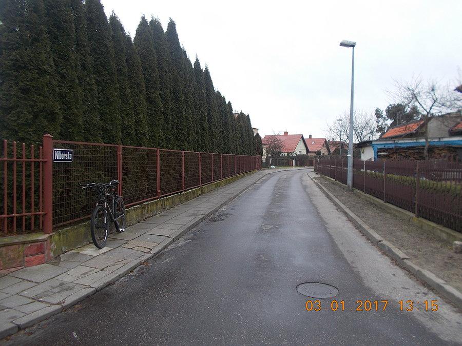 Ulica Niborska