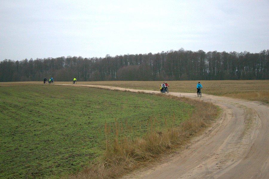 W drodze powrotnej