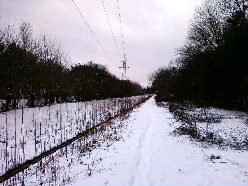 Ścieżka wzdłuż Bałutki
