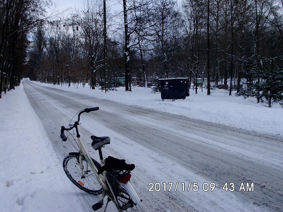 W zimowy poranek w Dolinie Górnika