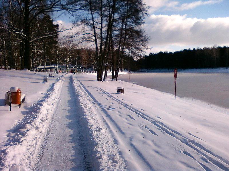 Ścieżka nad stawem w Arturówku