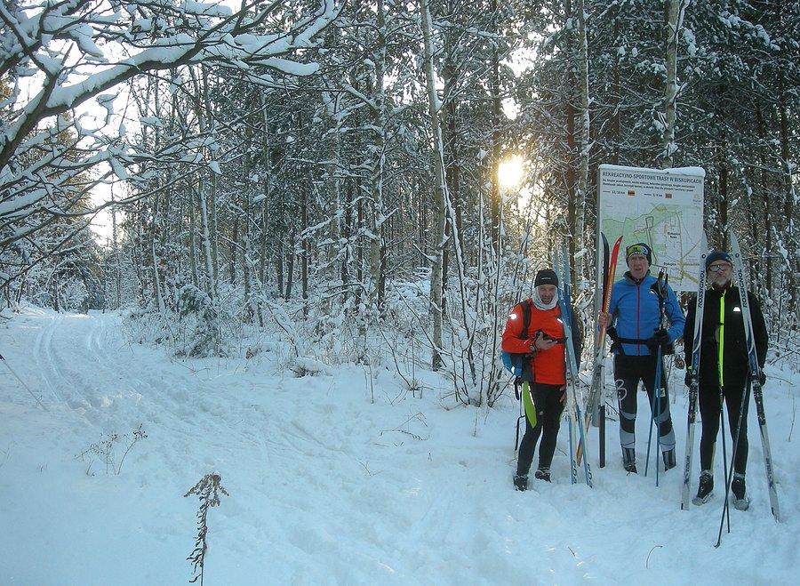 Biskupice - wejście na trasy biegowe