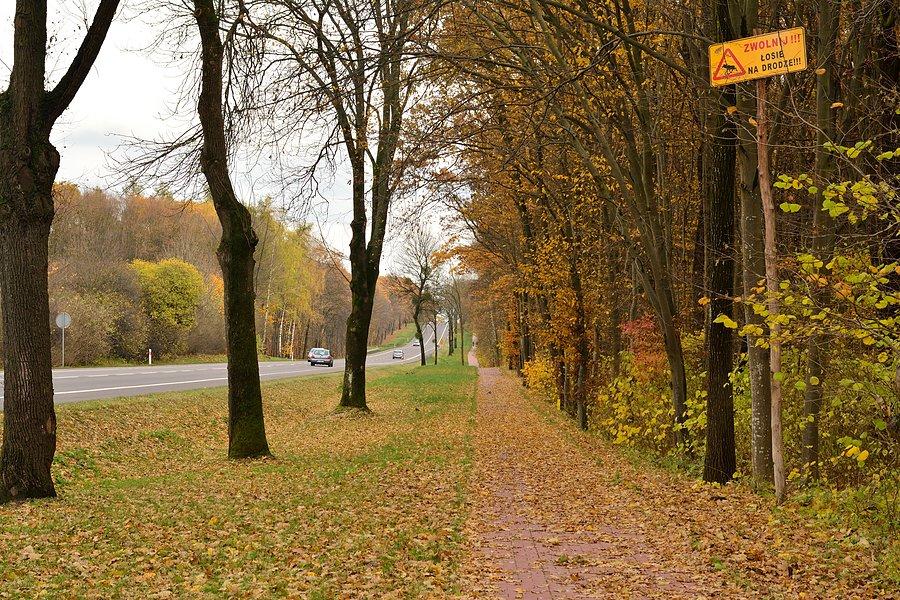 Wjazdowa DDR do Chełma