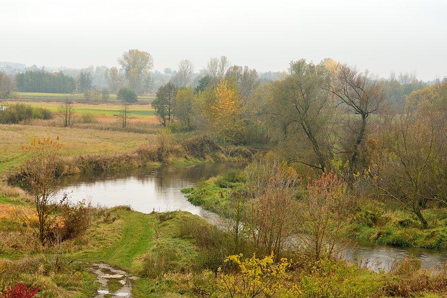 Wieprz w Zawieprzycach