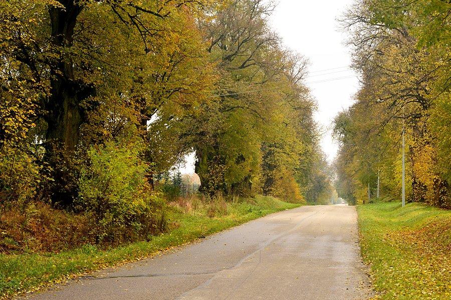 Charlęż jesienią