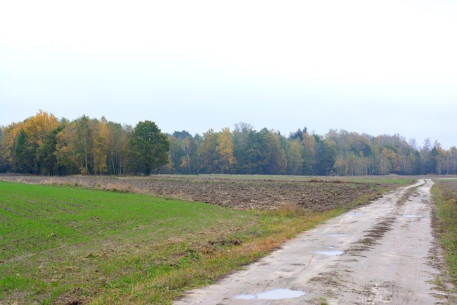 Droga nad Mytycze