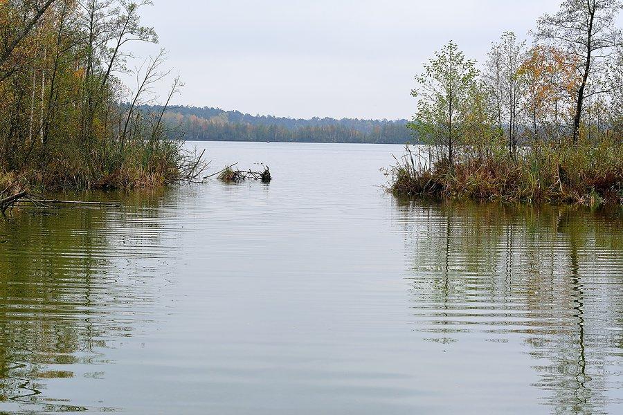 Jezioro Mytycze z północnego brzegu