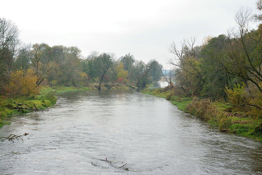 Wieprz w Sernikach, mniam