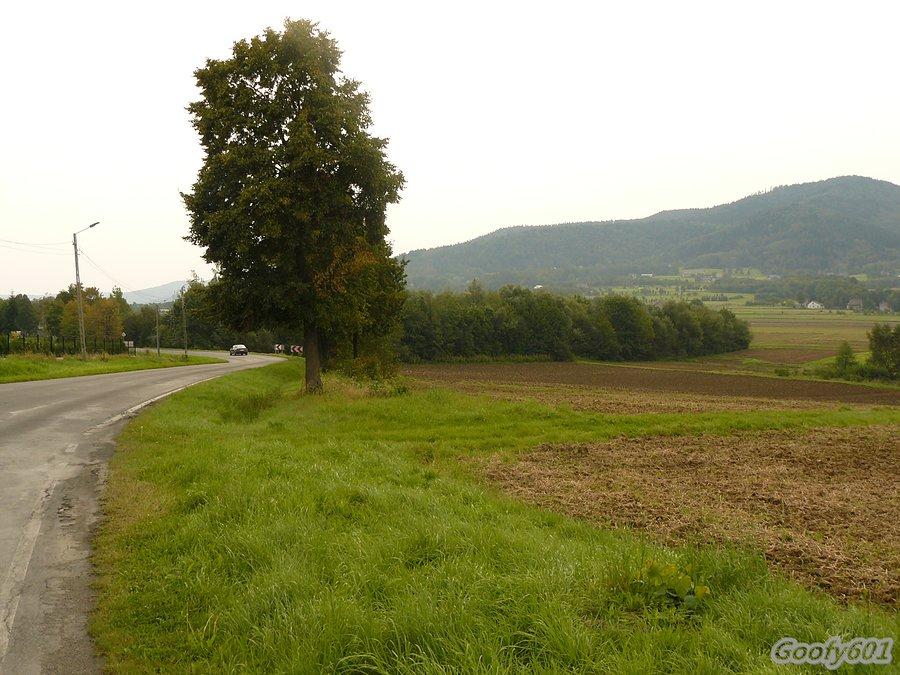 Góry jak okiem sięgnąć