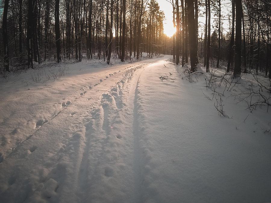 Śniegowa wycieczka po Trójmiejskim Parku