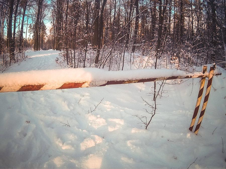 Śniegowa wycieczka po Trójmiejskim Parku