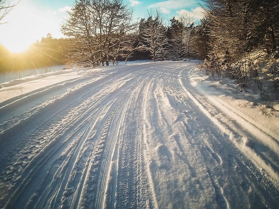 Śniegowa wycieczka po Trójmiejskim Parku