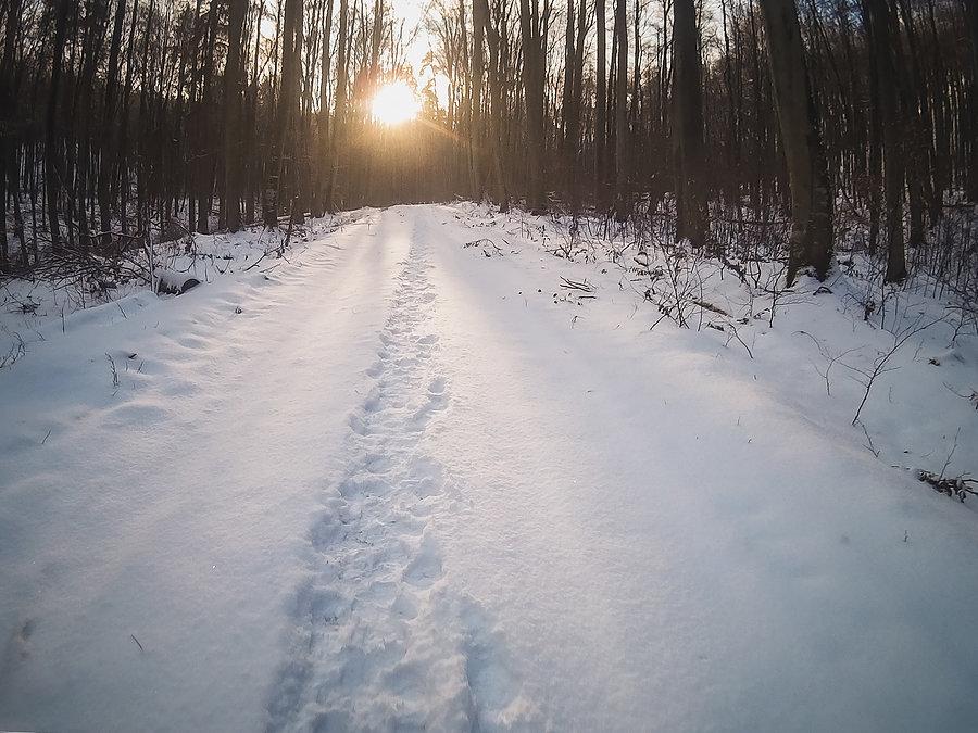 Śniegowa wycieczka po Trójmiejskim Parku
