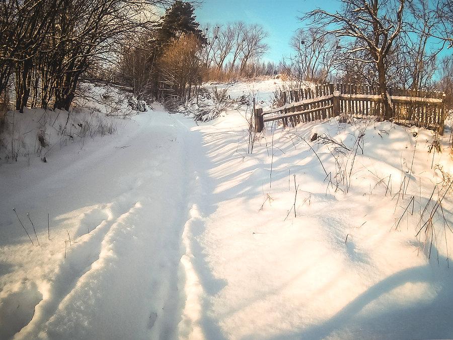 Śniegowa wycieczka po Trójmiejskim Parku
