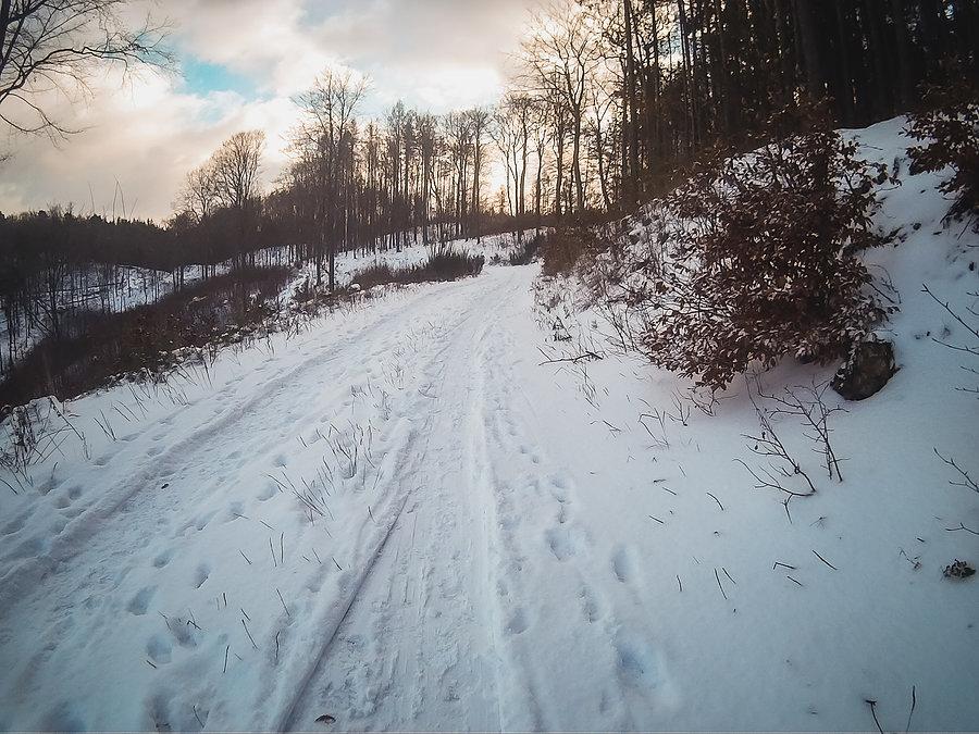 Śniegowa wycieczka po Trójmiejskim Parku