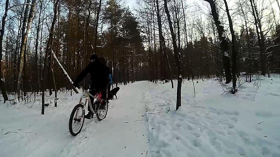 Kolejny Ninja :)