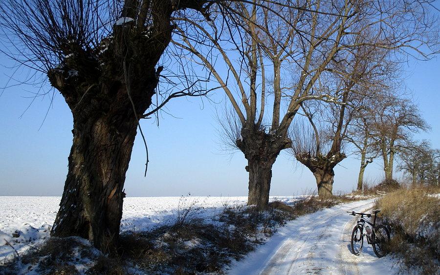 Zimowe otwarte przestrzenie też są fajne póki wiaterek nie dokucza