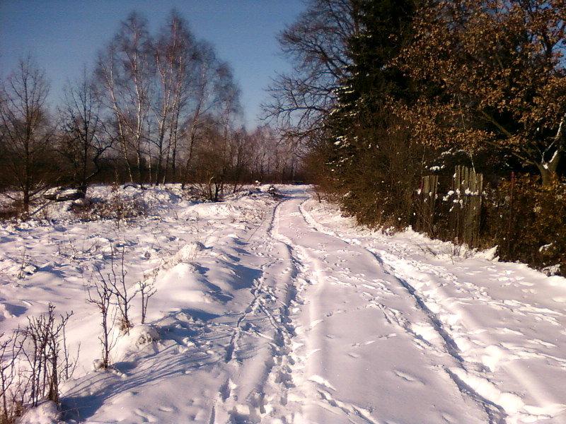 Kopny śnieg