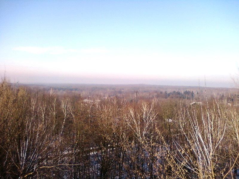 Widok na Las Łagiewnicki